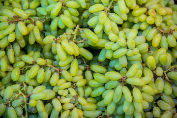 Green grapes a bunch of basket.