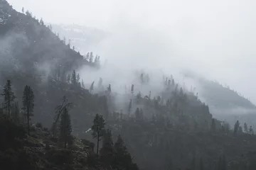 Tissu par mètre Forêt dans le brouillard Fogs Among Trees and Mountains on a Rainy Day in Hetch Hetchy Reservoir Area in Yosemite National Park, California