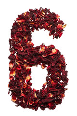 Number 6 from dried flowers of hibiscus tea on a white background. Number for banners, advertisements