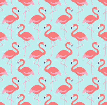 seamless flamingo bird pattern