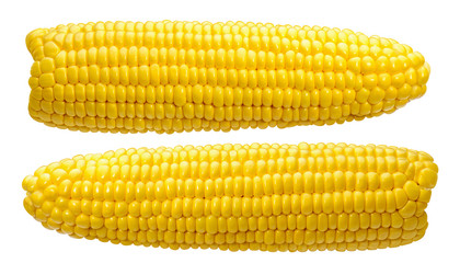 Clean corn ears with no leaves isolated on white