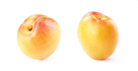  apricot with leaf isolated white background
