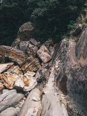 自然に出来た奇岩の風景（日本・高知県・竜串海岸）