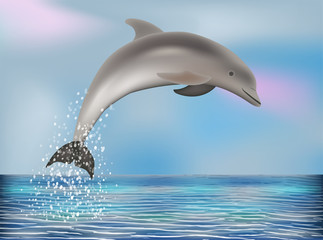 Dolphin wallpaper. vector illustration