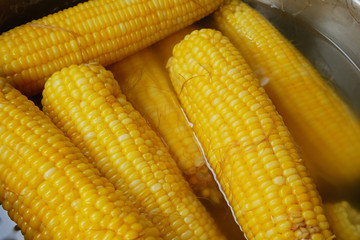 Boiled corn in a boiler