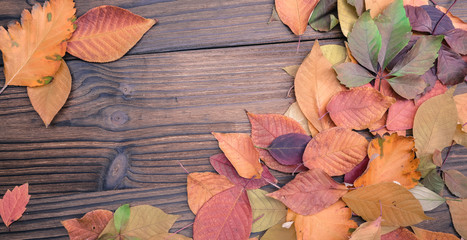Fototapeta na wymiar autumn leaves on wooden table