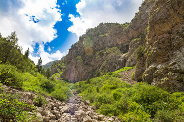 Obraz premium Beautiful nature in the Himalayas in spring