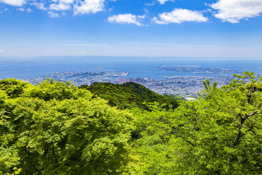 六甲山頂から眺める新緑と神戸の街