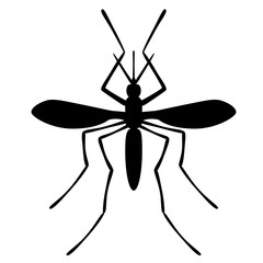 Insect pest bloodsucking mosquito