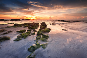 Sunset seascape with green moss on the ground at Kudat, Sabah Malaysia.