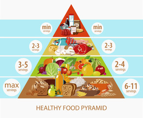 Food pyramid