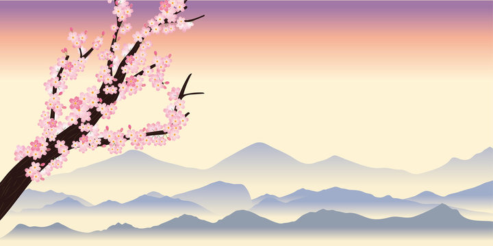 桜の木の背景～春のイメージの背景（夕方）｜飾り枠｜サクラと風景イラスト　背景
