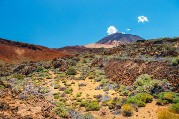 Landscape of Volcano El Teide in The National Park of Las Canadas del Teide
