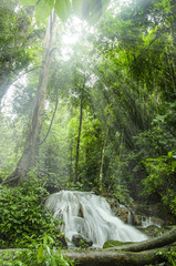 Water falls landscape colorful leaves on trees