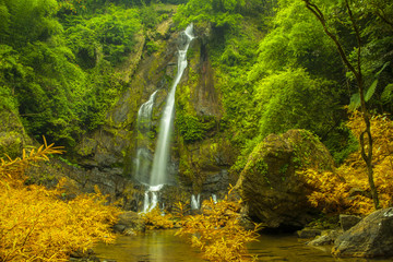 Sri Phang Nga State Park, Beautiful fall forest beautiful color