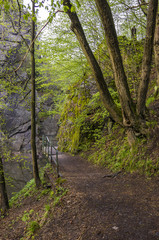 Fototapeta na wymiar Rieger Trail, Bohemian Paradise, (Cesky Raj), Czech Republic