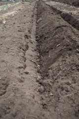 Ridge and furrow farming