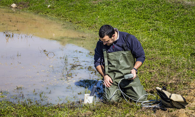 Scientist measuring environmental water quality in a wetland