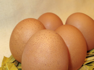 Brown chicken eggs closeup