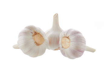garlic head on white background isolated