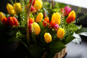 Obraz na płótnie Canvas Close-up photo of tulip bouquet, colorful flowers, spring mood