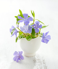 Bunch of spring flowers (Vinca) in eggshell on the white wooden plank. Shallow depth of field, focus on near flowers. Easter decor