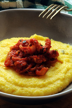 Polenta y Eledone moschata Musky octopus Moscardino Moschuskrake Pieuvre musqu&eacute;e 