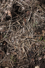Molded straw and foliage   for soil