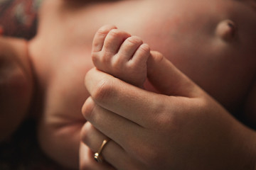 the hand of a newborn baby in the hand of the mother.