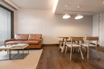 Modern living room interior