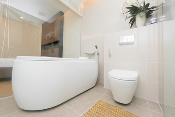 Beautiful Large Bathroom in Luxury Home