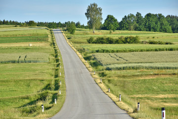 Fototapeta na wymiar lonley country road between graindfields and meadows in lower austria, waldviertel region, in summer