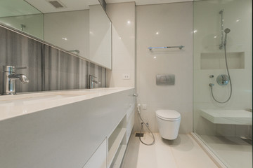 Beautiful Large Bathroom in Luxury Home