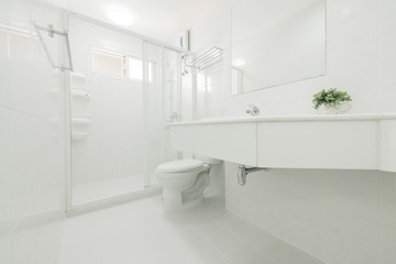 Beautiful Large Bathroom in Luxury Home