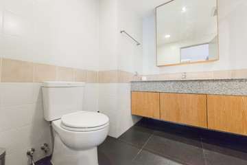 Beautiful Large Bathroom in Luxury Home