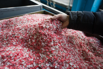 Plastic colored granulated crumb at the plant for processing and casting products from domestic and...