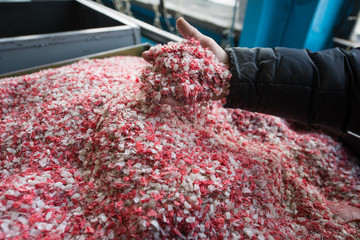 Plastic colored granulated crumb at the plant for processing and casting products from domestic and industrial waste