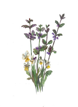 Vintage bunch of flowers with viola. Watercolor illustration. 