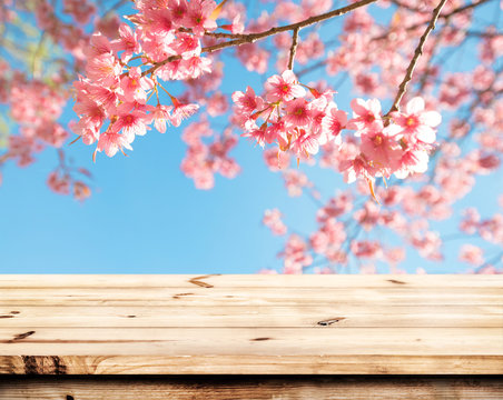 Top of wood table empty ready for your product and food display or montage with pink cherry blossom flower (sakura) on sky background in spring season.