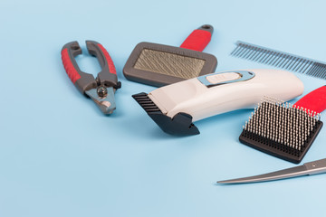Obraz premium dog grooming tools and accessories set on light blue background with copy space. pet care and hygienic concept