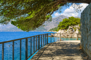Brela, Croatia with adriatic sea and shadow of pines in summer. Dalmatia, Makarska Riviera