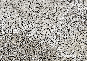 Trockenheit, Dürre, drought, 18022.jpg