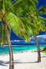Tropical beach with rocks and palms on Cook Islands, Rarotonga