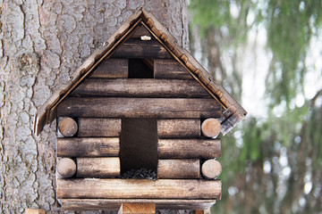 Tree house for birds. Birdhouse made by hands. Feeding birds and caring for them. 