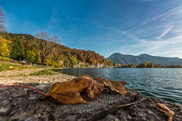 Fototapeta na wymiar Herbststimmung am Tegernsee, bunte Bäume am See mit Bergen, den Alpen im Hintergrund
