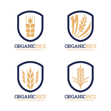 organic rice logo sign with navy gold modern paddy rice in vintage frame border vector design
