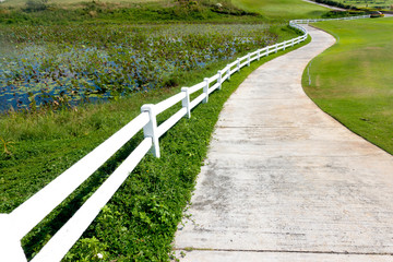 Long Winding Road with White Picket Fence