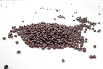 Fototapeta na wymiar Black mustard seeds spices