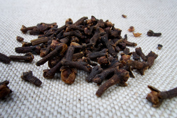 Obraz premium Clove - Syzygium aromaticum spices
