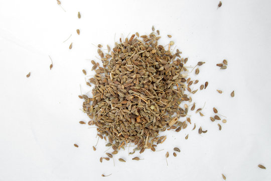 Aniz - Anise - Pimpinella anisum spices